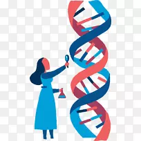 科学生物学dna手绘探索性生物科学