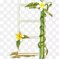 花卉设计画框花卉设计创意花边艺术