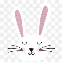 欧洲兔类动物-可爱的卡通兔