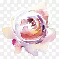 花园玫瑰彩绘花纹