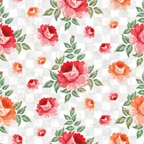 花卉玫瑰砧木摄影插图.花背景
