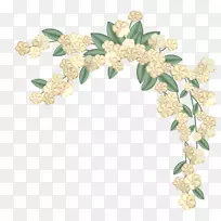 黄花-米色花
