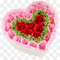 花园玫瑰沙滩玫瑰粉红色礼物-粉红色玫瑰礼盒