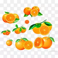 橘子果佛手橙卡通