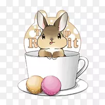 iPhone4s兔子卡通壁纸-兔子和杯子