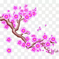 梅花红桃树