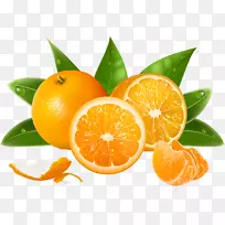 果汁马耳他橙子水果印地语-橙子图案