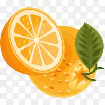 柠檬橙-PNG橙果实载体材料