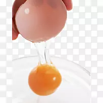 鸡蛋配料食品蛋黄产品物理图