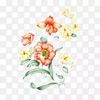 花卉水彩画插图.红色花纹材料