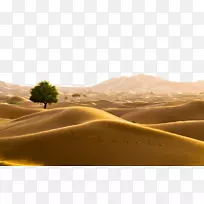 阿曼撒哈拉巴林沙漠旅游-土地沙漠化