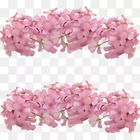 粉红色花朵-浪漫的粉红色花卉装饰框架