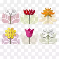 花卉素描-鲜莲