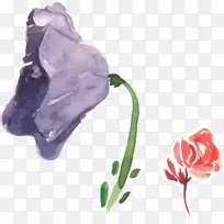花园玫瑰花水彩画紫色水彩画花卉装饰