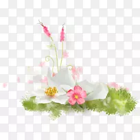 花卉墙纸-花卉装饰