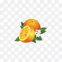果汁柠檬汁橙子-新鲜，水果，橙子