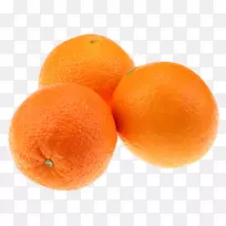 橘子，兰浦尔-三种橙色图像材料