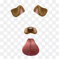 达尔马提亚犬Snapchat摄影滤镜剪贴画Snapchat过滤器png透明图像