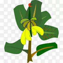 香蕉劈开剪贴画-香蕉植物剪贴画