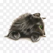 挪威森林猫波斯猫小猫水彩画猫女士