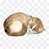 家养短毛猫须小猫手绘猫