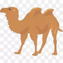 骆驼剪贴画-卡通骆驼图片