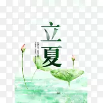丽霞节气句-夏季太阳术语开头莲花材料