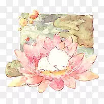 猫画-可爱的小猫睡在莲花上