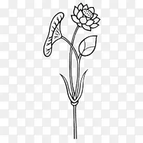 野莲花叶剪贴画手绘莲花