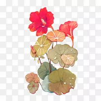 花卉插画-红鲜莲花装饰图案