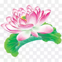 莲藕叶水生植物荷花效果手绘莲花