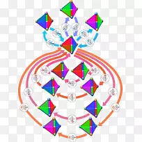 对称群四面体对称代数图