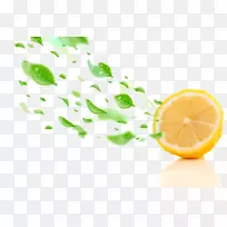 水果柠檬奥格里斯橘子食品-橙子维生素
