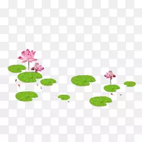 莲池水墨画-鲜莲花