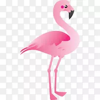 塑料火烈鸟剪贴画-粉红色琵鹭剪贴画