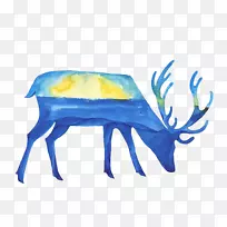 驯鹿水彩画-卡通鹿