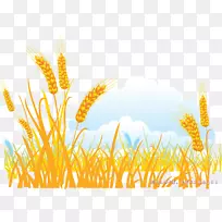 金色卡通-涂金小麦