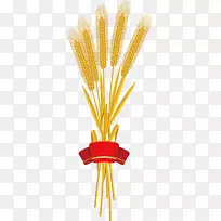 红丝带小麦-红丝带小麦收获