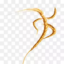 小麦作物-小麦的金色翅膀