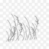 线条艺术小麦单色画手绘小麦