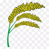 欧式黄色小麦