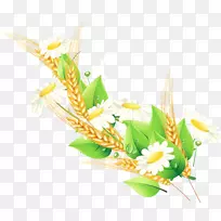 花卉设计土坯插图手工制作的小麦雏菊装饰载体