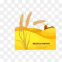 卡利亚里小麦大棚草作物播种-植物性小麦作物