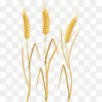 小麦燕麦下载剪辑艺术-卡通小麦