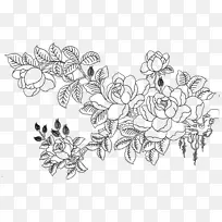 罗莎多花素描花卉素描