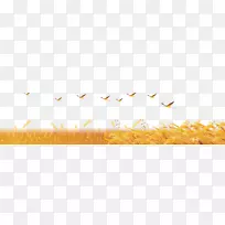 小麦天空阳光桌面壁纸黄麦田