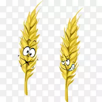 小麦卡通穗-卡通小麦