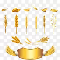 小麦谷物耳图.金属和小麦