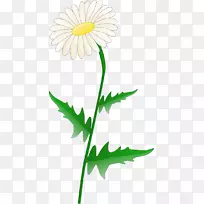 免费内容普通菊花剪贴画