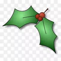 普通冬青圣诞树免费内容剪贴画圣诞冬青图片